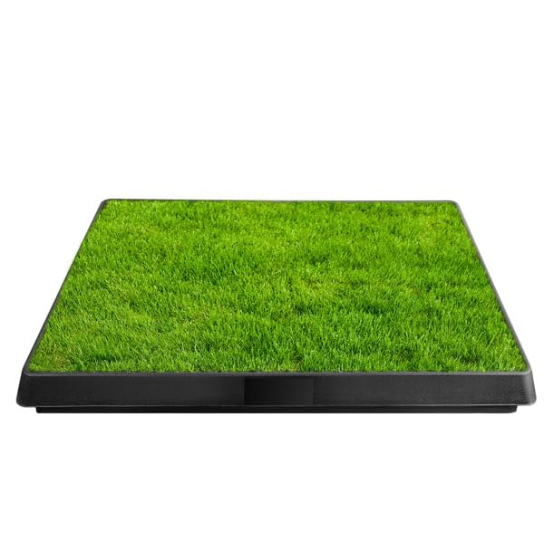 25" x 20" Artificial Grass Dog Potty with Removable Waste Tray A977358
