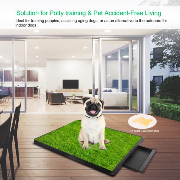 25" x 20" Artificial Grass Dog Potty with Removable Waste Tray A977358