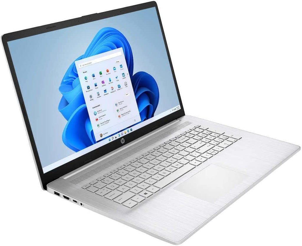 17.3'' HD+ Touchscreen Laptop AMD Ryzen 5 16GB RAM 1TB SSD Silver C616096