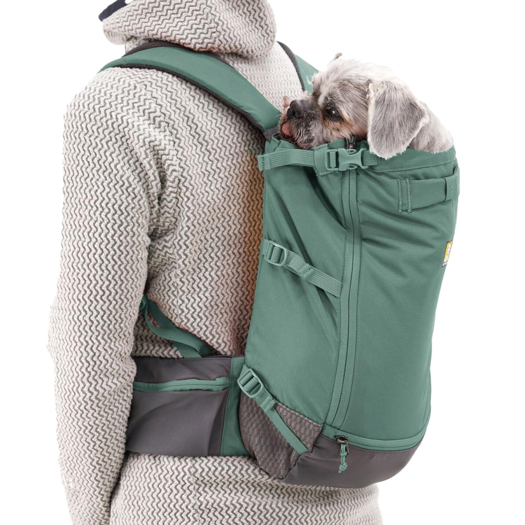 Dog Backpack Carrier L57451