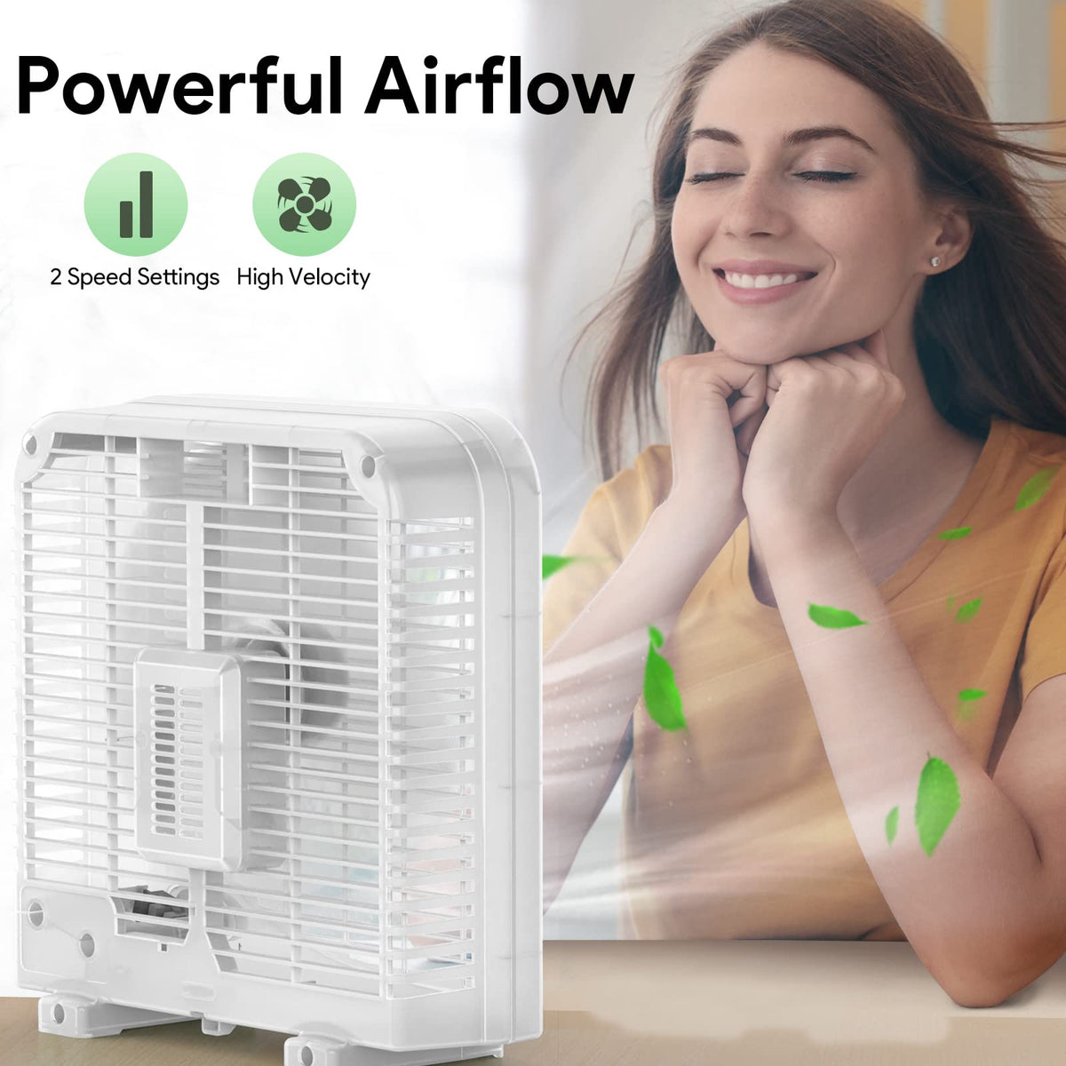 2 Packs 10" Tabletop Box Fan, 2 Speeds, White T3358
