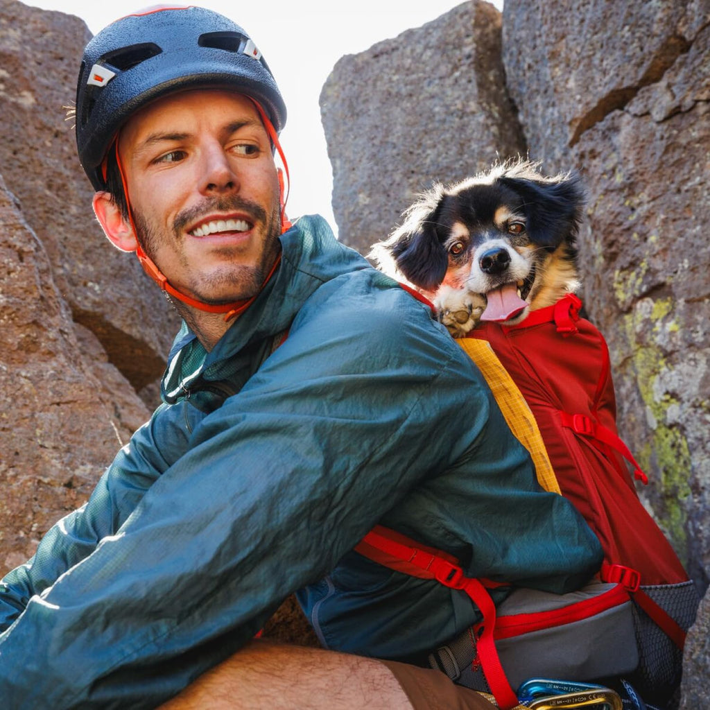Dog Backpack Carrier L57451