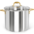 20 Quart Stainless Steel Stock Pot with Lid J9323