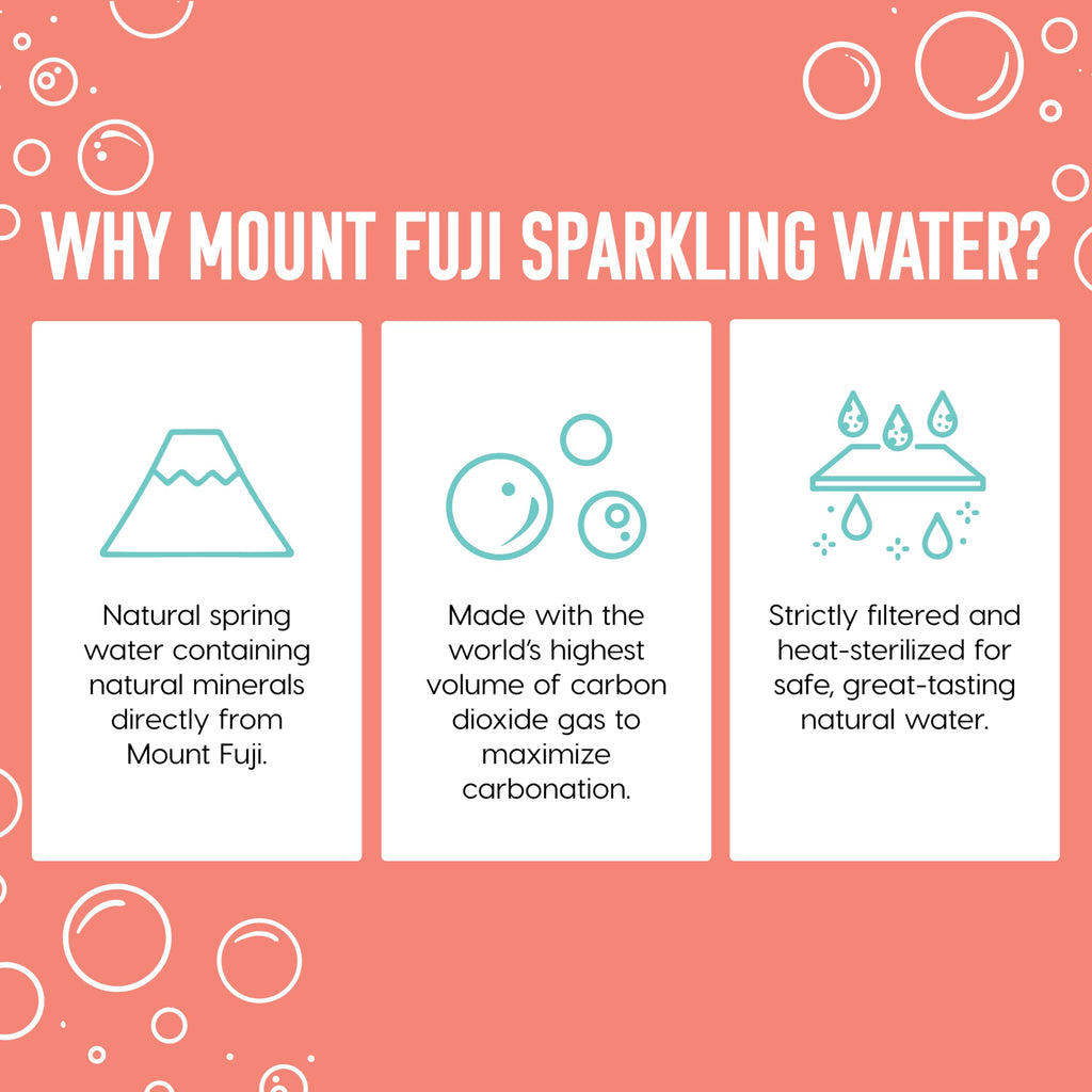 Sparkling Water Bottles 16.9 fl oz 24-Pack C19113