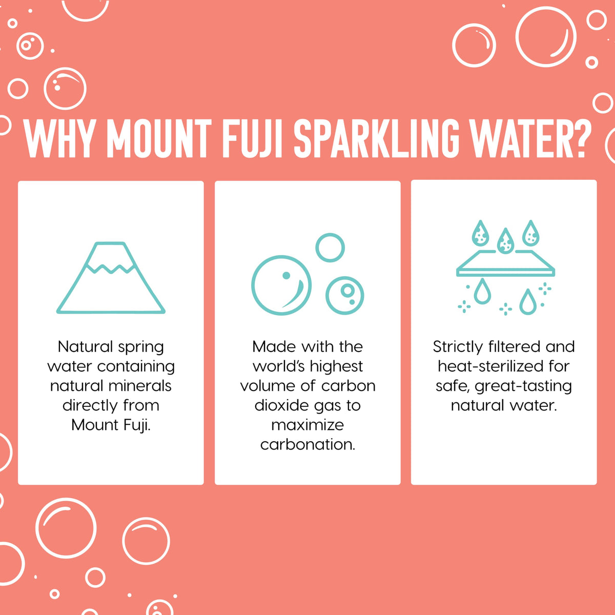 Sparkling Water Bottles 16.9 fl oz 24-Pack C19113