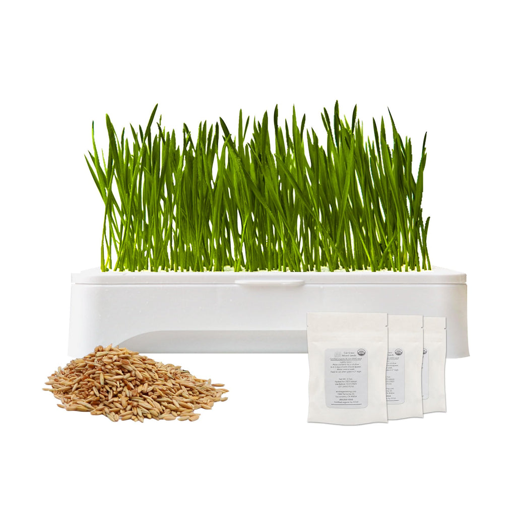 Cat Grass Kit with Organic Seeds Mix and Hydroponic Sprout Tray O448830
