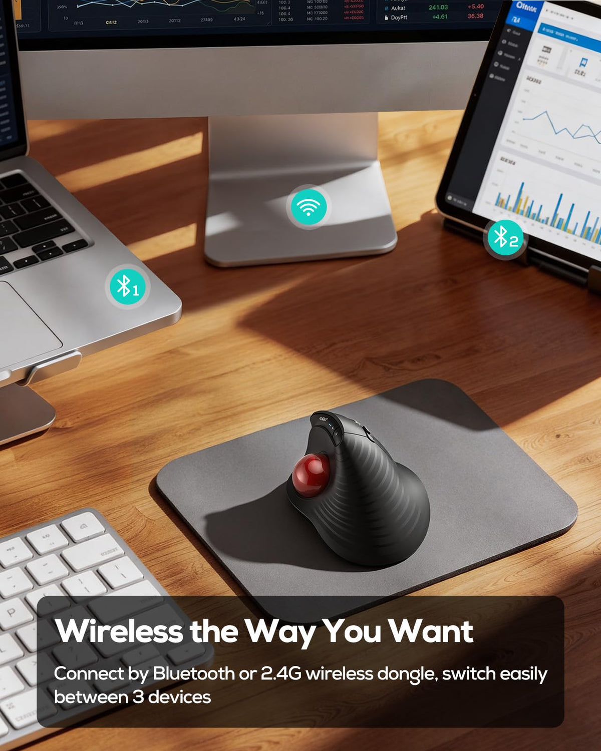 Wireless Ergonomic Vertical Trackball Mouse N50853
