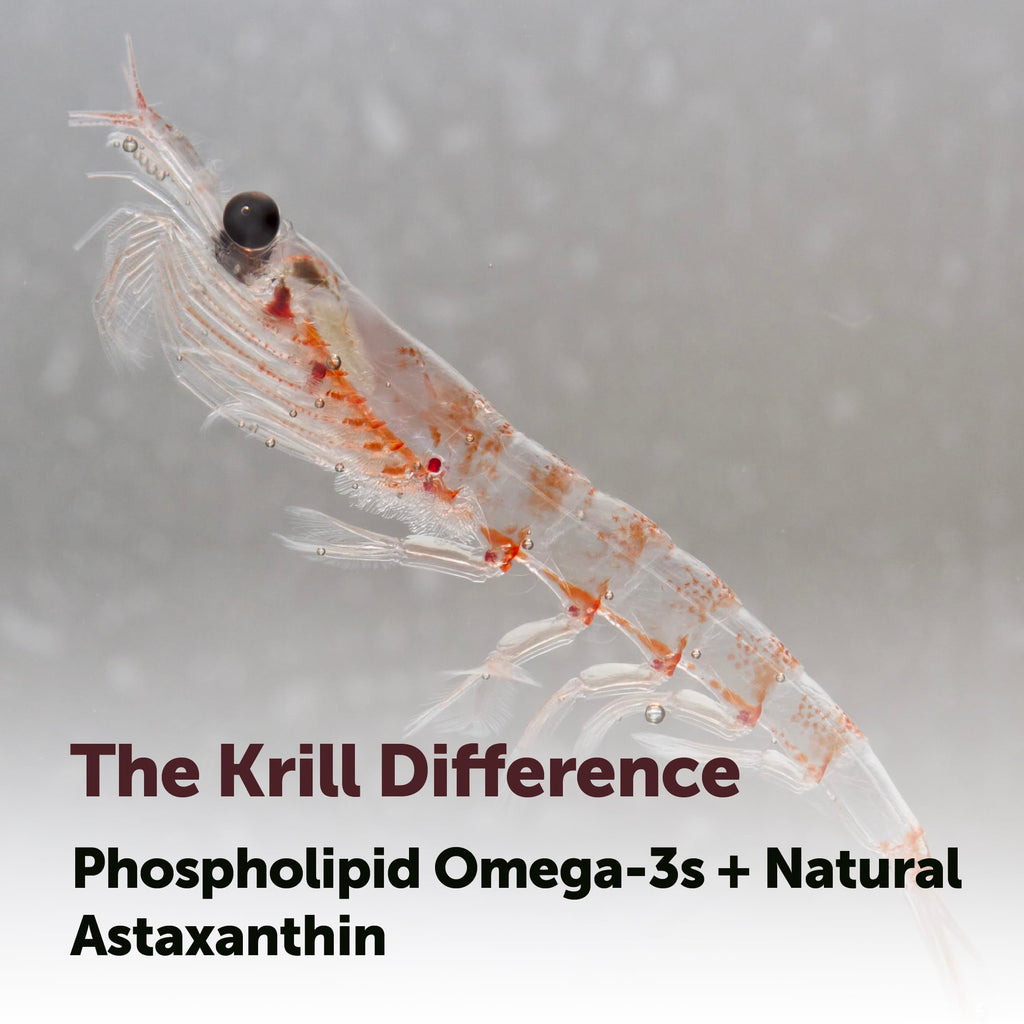 Antarctic Krill Oil 1,000 mg 300 Softgels Omega-3 EPA & DHA S522