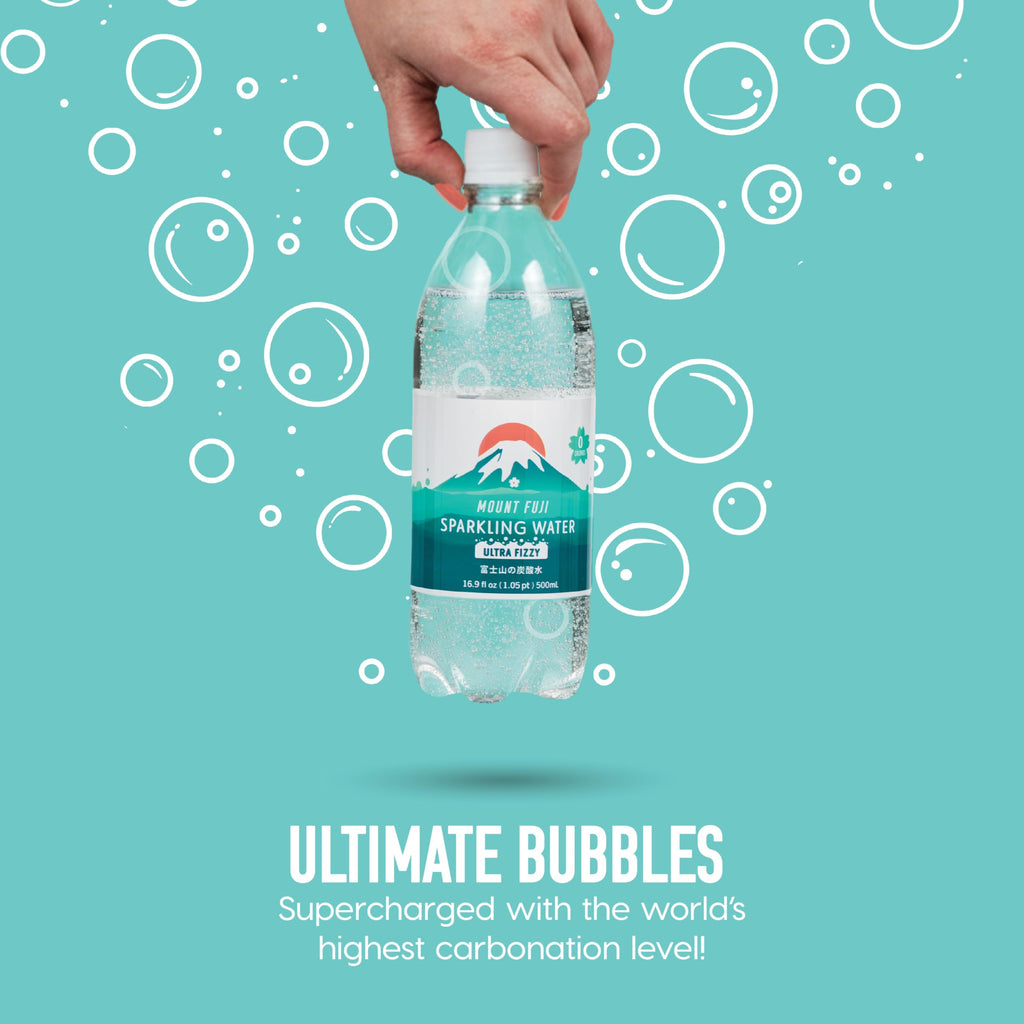 Sparkling Water Bottles 16.9 fl oz 24-Pack C19113