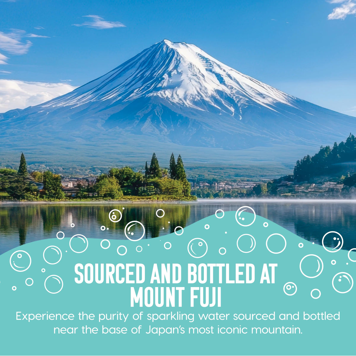 Sparkling Water Bottles 16.9 fl oz 24-Pack C19113