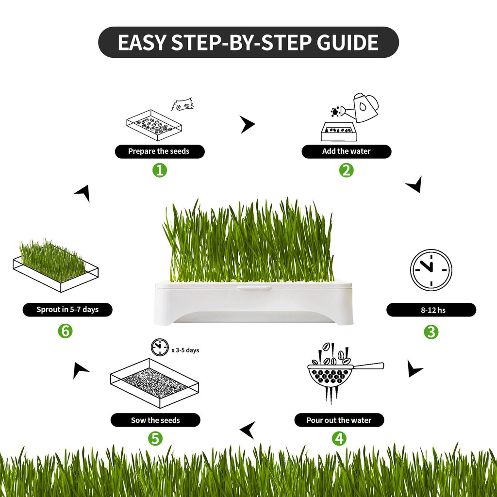 Cat Grass Kit with Organic Seeds Mix and Hydroponic Sprout Tray O448830