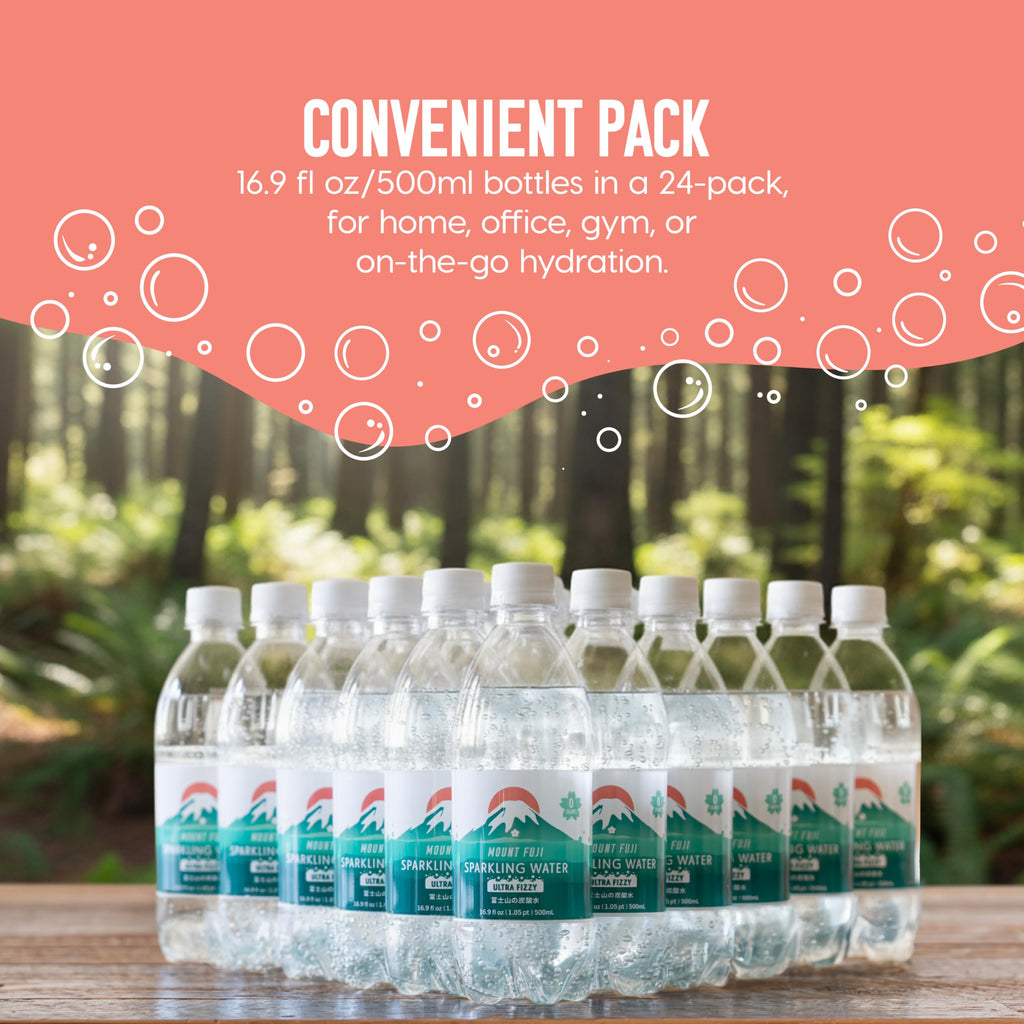 Sparkling Water Bottles 16.9 fl oz 24-Pack C19113