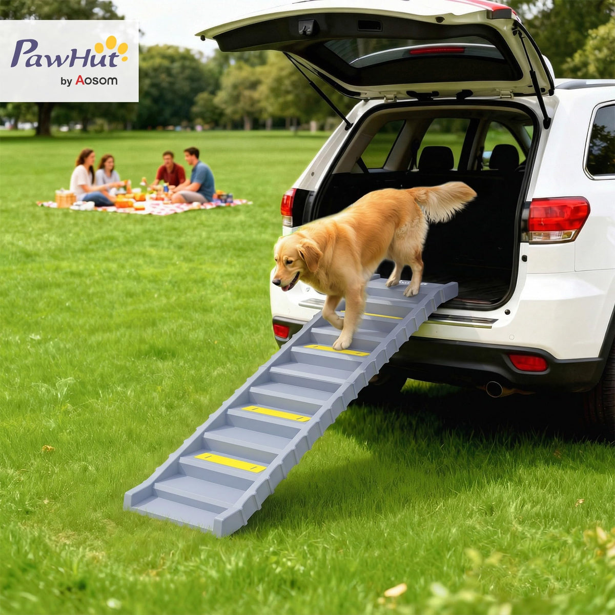 Foldable Dog Ramp C37553