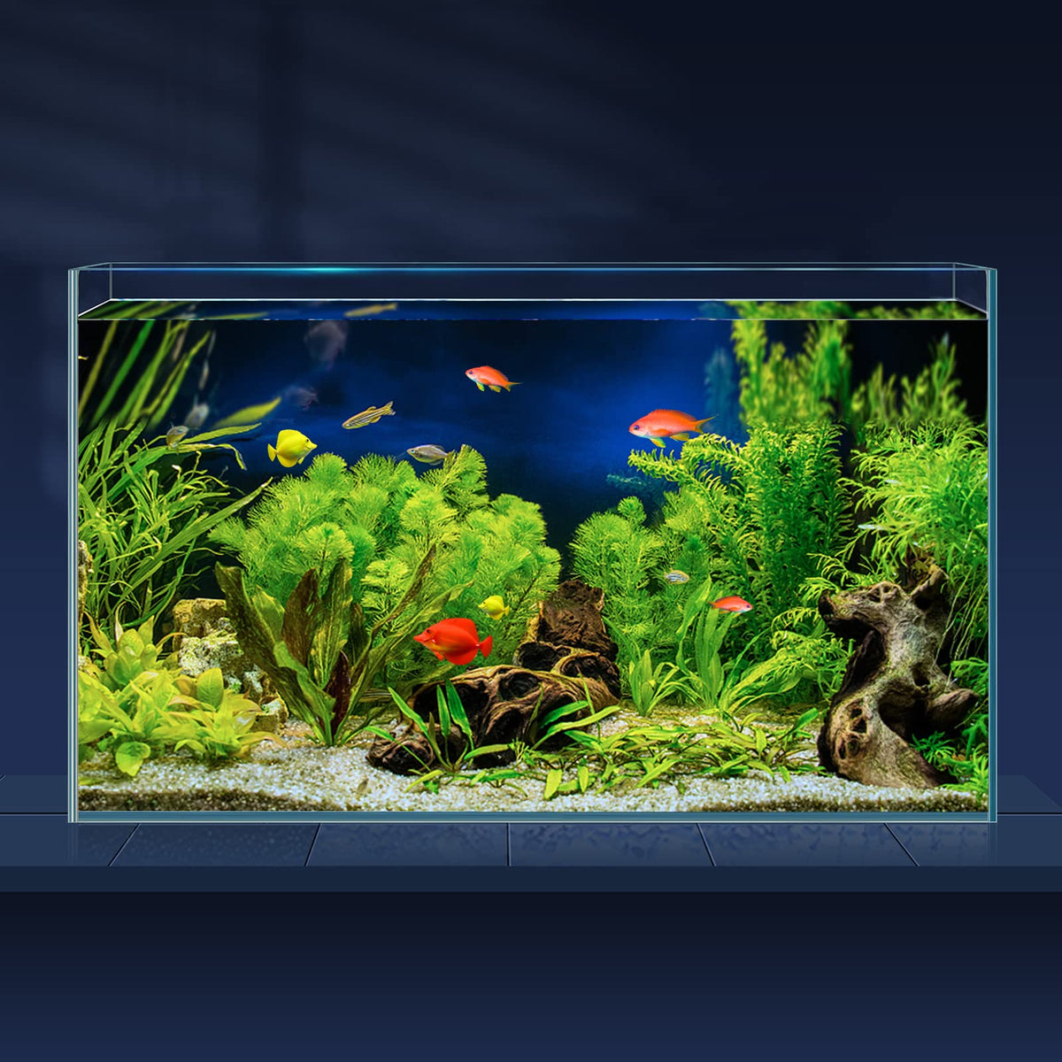10 Gallon Ultra Clear Rimless Low Iron Glass Fish Tank C353924