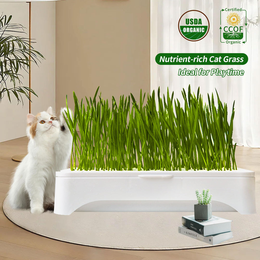 Cat Grass Kit with Organic Seeds Mix and Hydroponic Sprout Tray O448830