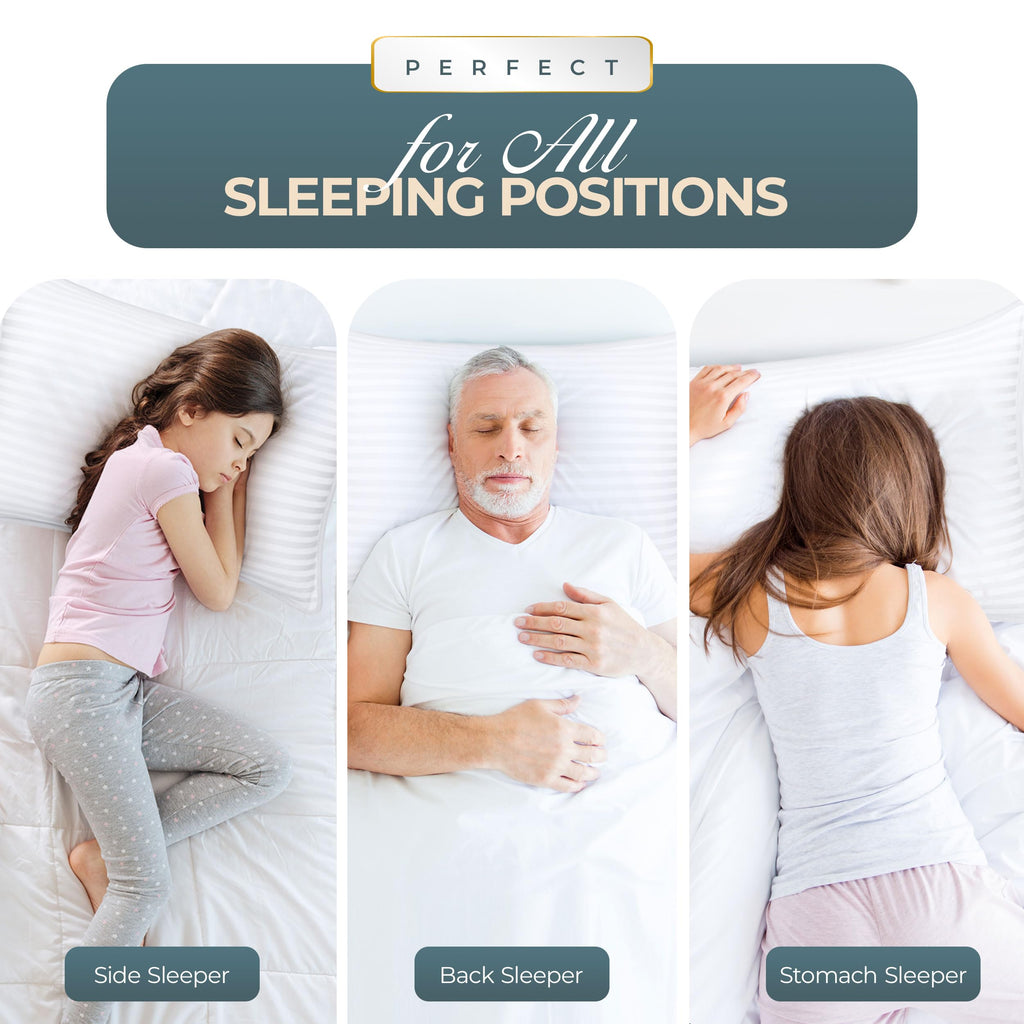 Queen Size Set of 2 Bed Pillows T80710